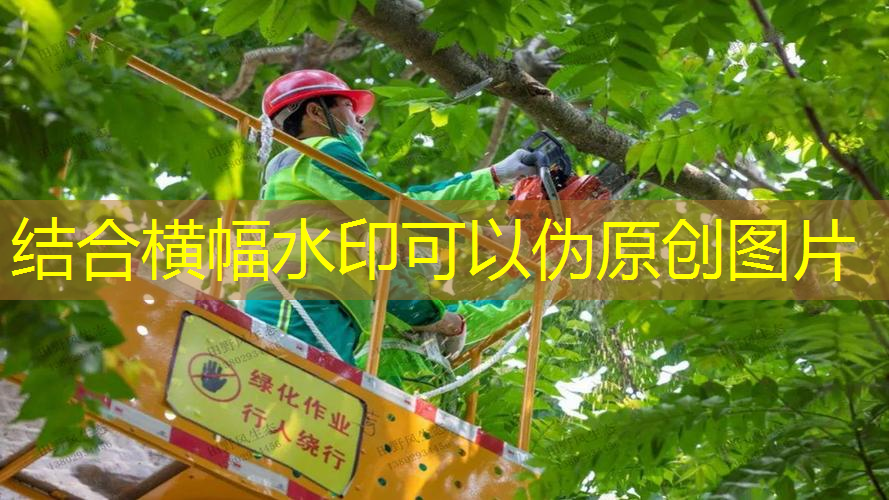 社区绿化工程报价明细清单