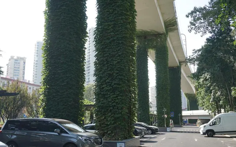道路绿化工程项目建设的必要性