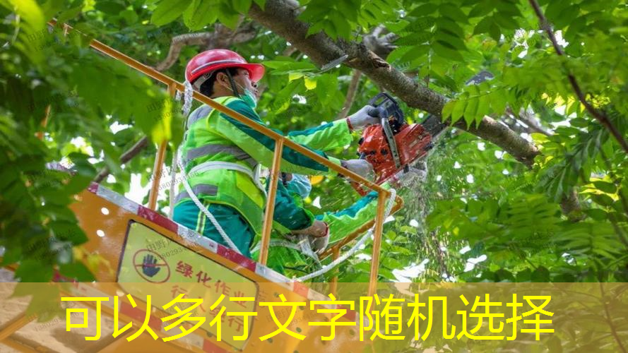 万科璞悦山绿化工程