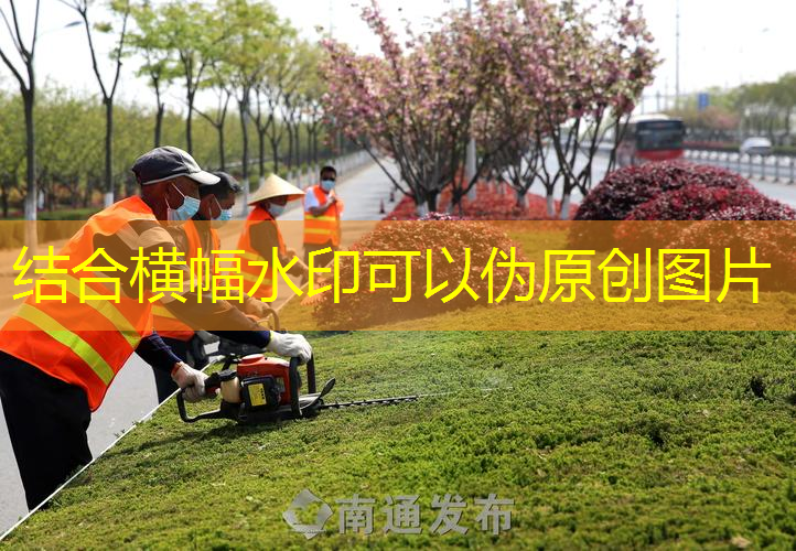 怀化全国最大绿化树苗批发市场是哪里