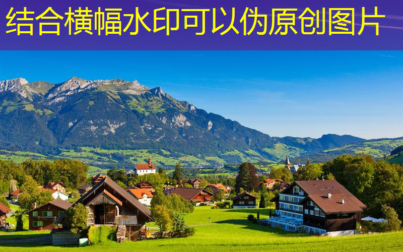 临沧市政绿化主要做什么