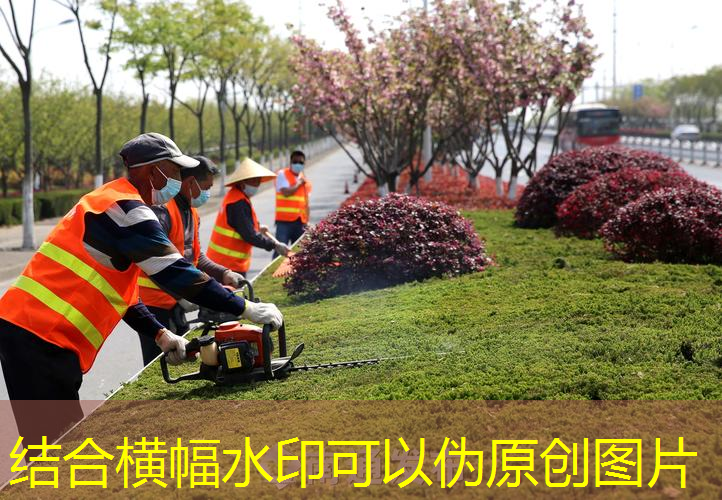 双峰绿化工程