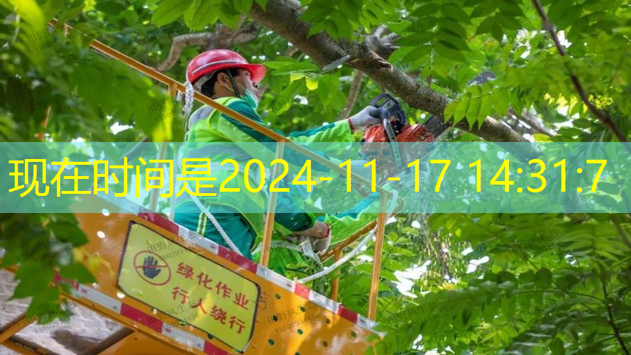 松江区景观绿化工程