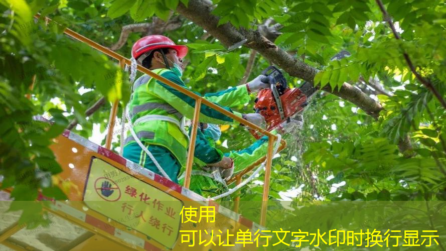汉川城市绿化管理包含哪些项目