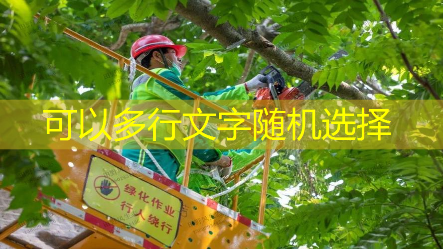 宿迁佳伟绿化工程有限公司
