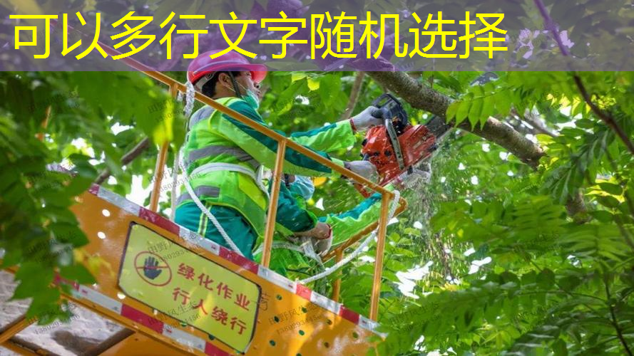 乱倒垃圾、车辆滥停等问题频现 园林管理陷入窘境
