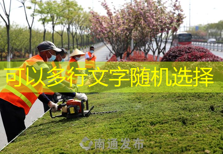 广水市政绿化护栏