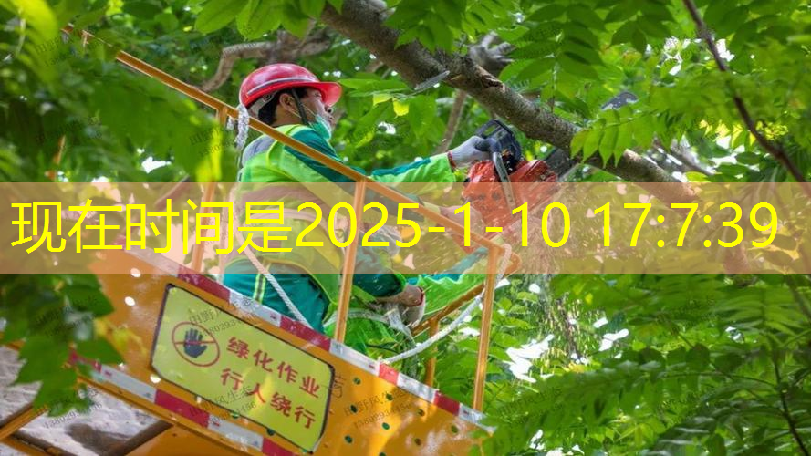 新宇园林绿化工程有限公司