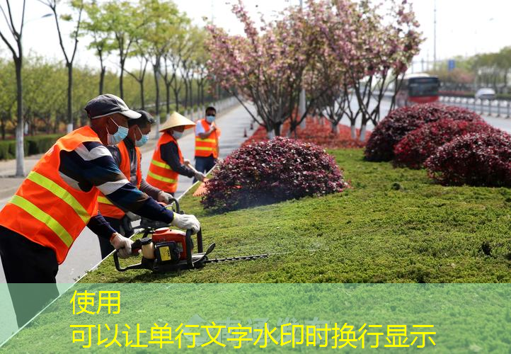 鄞州区庭院绿化工程项目