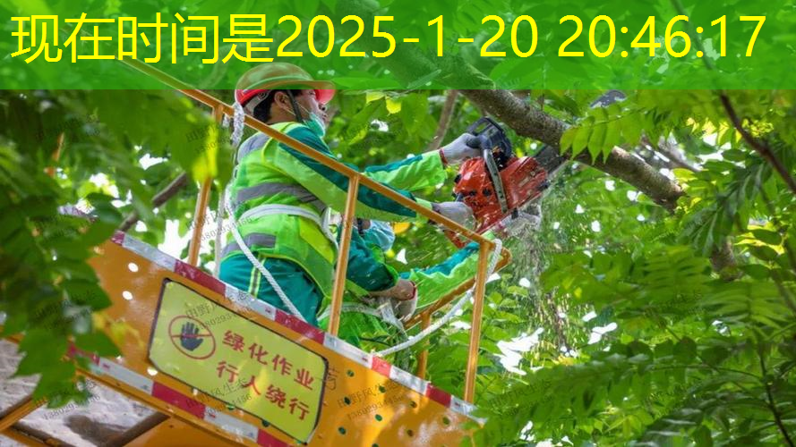 永州城市绿化养护质量标准
