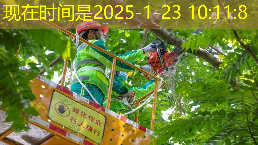 天水绿化工程设计招聘网