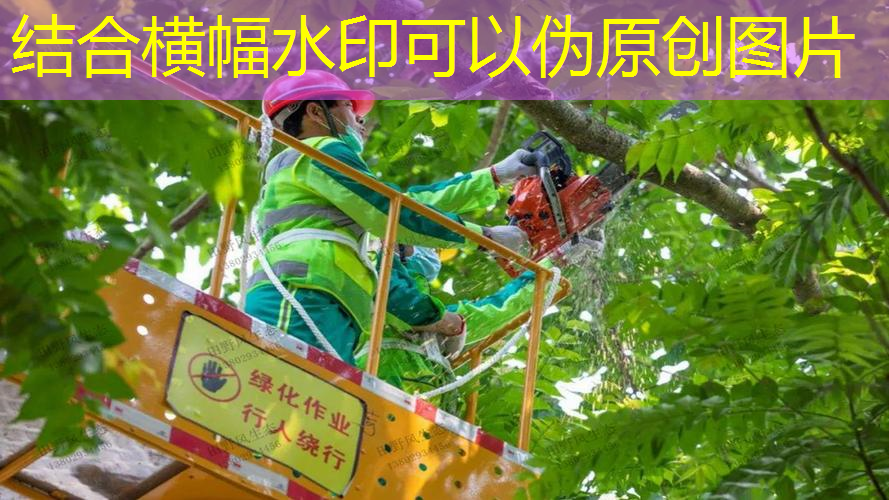 沈阳庭院绿化工程招标公告