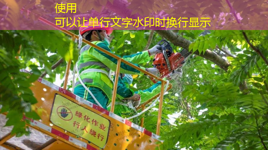 绿色美丽园林面临威胁，建议加强园林管理机制建设