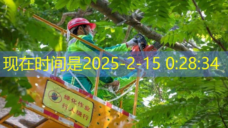 100个园林景观设计