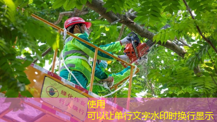 市政园林管理隐患频现，专家呼吁加强监管！