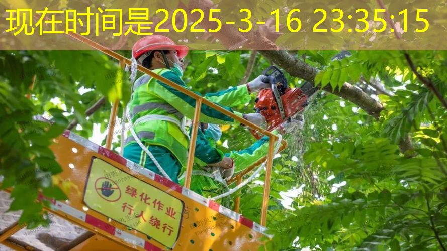 绿化工程整合资源包括哪些