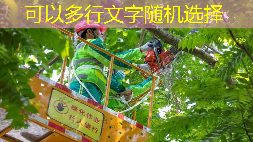 园林管理困境导致绿地质量下降，如何破局？