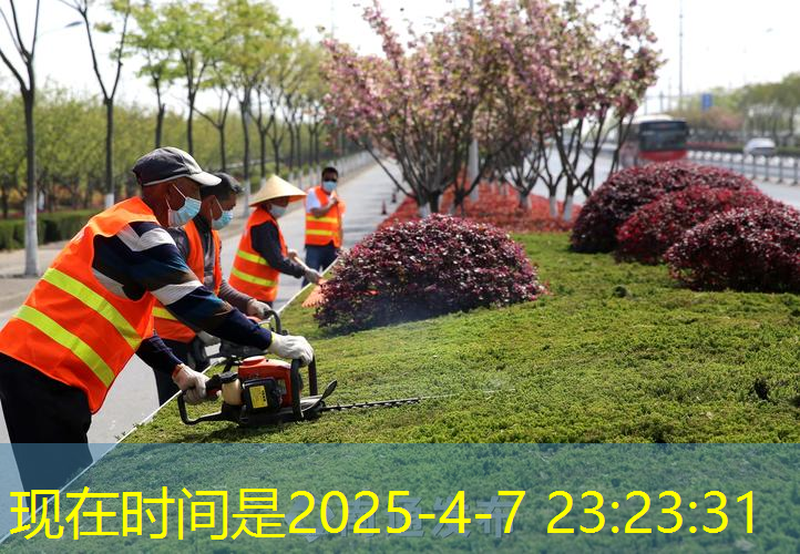 春季植树绿意飘扬，潜江开展2025年环保行动