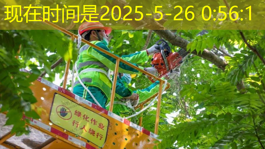 黄浦区高速绿化工程造价